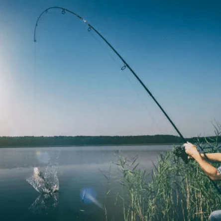 Суточная смена 24 часа